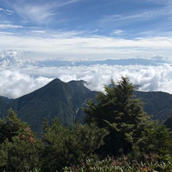 東には雲海が広がっていた(左端は八ヶ岳、右は奥秩父の山々)