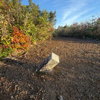 台倉山 1695M
標識もなく開けた地面に三等三角点があるだけ。（点名：赤川表）　