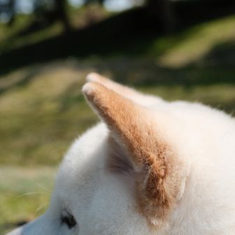 あゆと