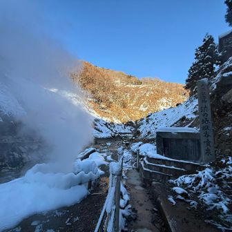 渋の地獄谷噴泉