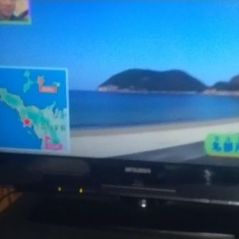 鷹の巣