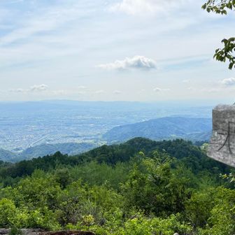 大沢山のベンチ