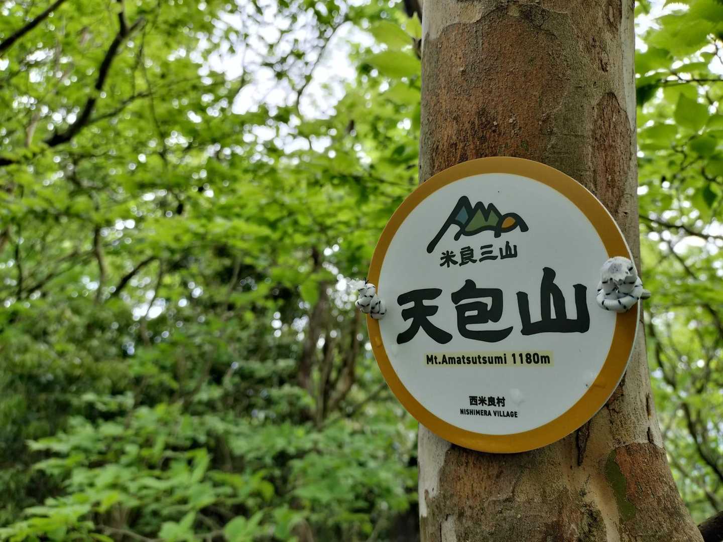 ♡- ̗̀ ヵヮィィ  ̖́-♡

この辺りで、ヤマドリに遭遇しました。母ヤマドリは雛から私を遠ざけようと、羽をバサバサして猛アピールしながら走って行きました。母ヤマドリの愛を感じました🥰