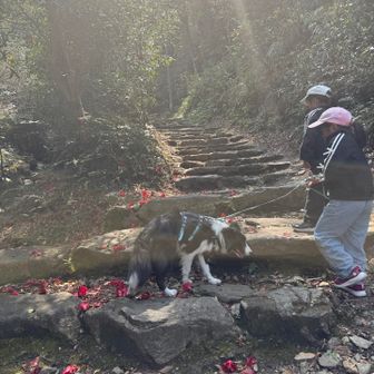 この階段登ったり降りたり迷ってますw