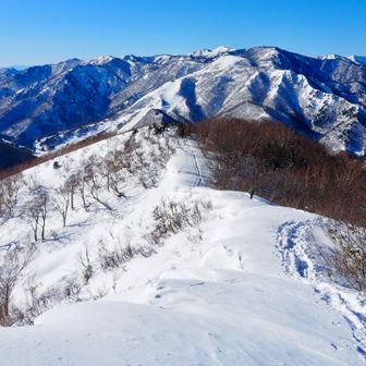 残念だけどまた今度〜👋