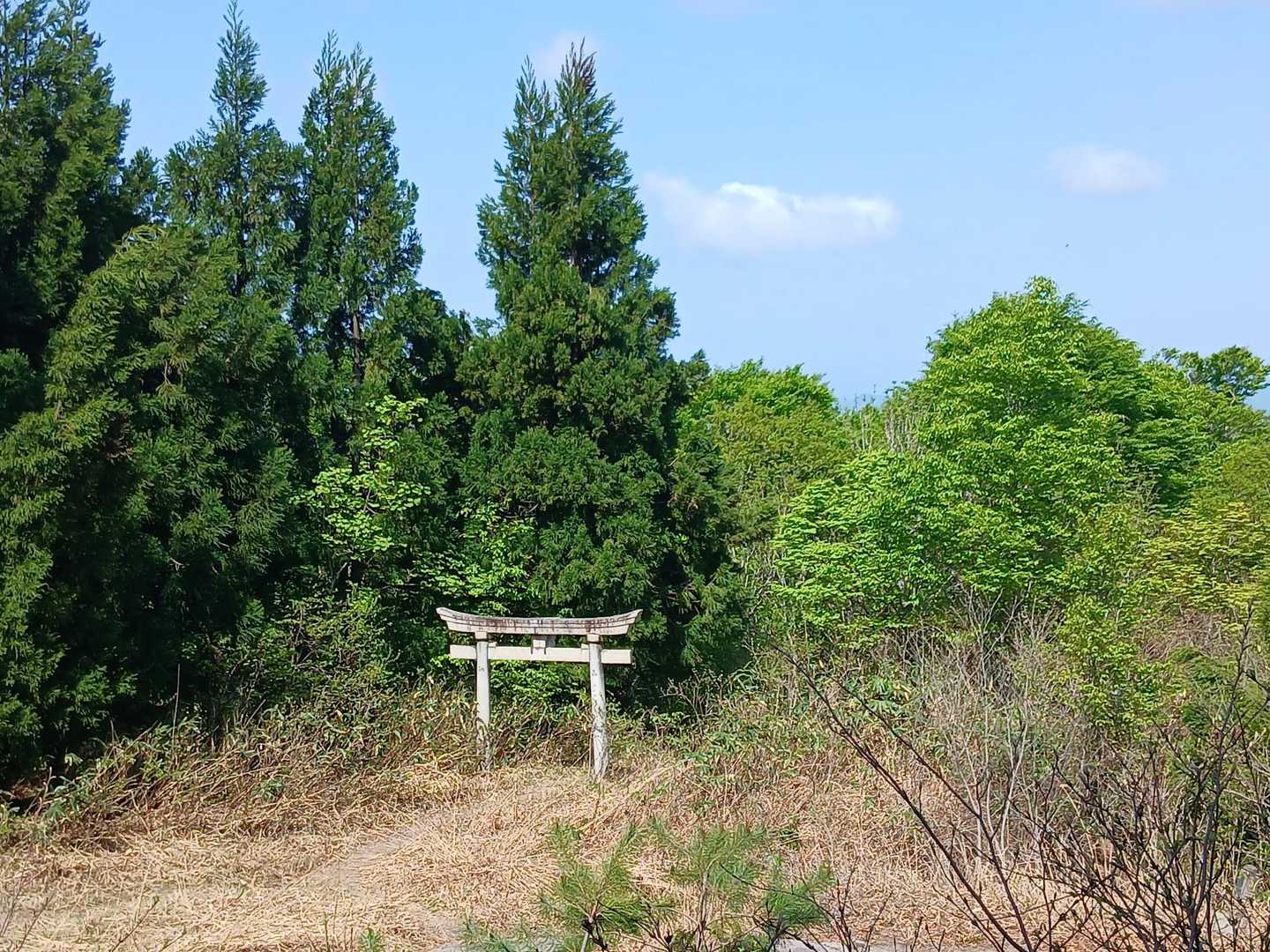 日野神社-日野山 往復コースの写真