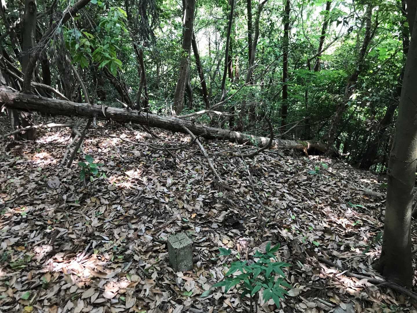 山頂まであと少し