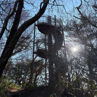 いい感じの展望台！
毛がふさふさしてるやつが木から滑り降りってた！！