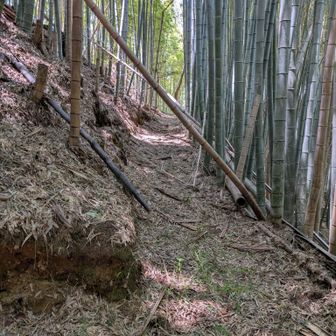 竹林の路、ちょっと荒れた箇所も