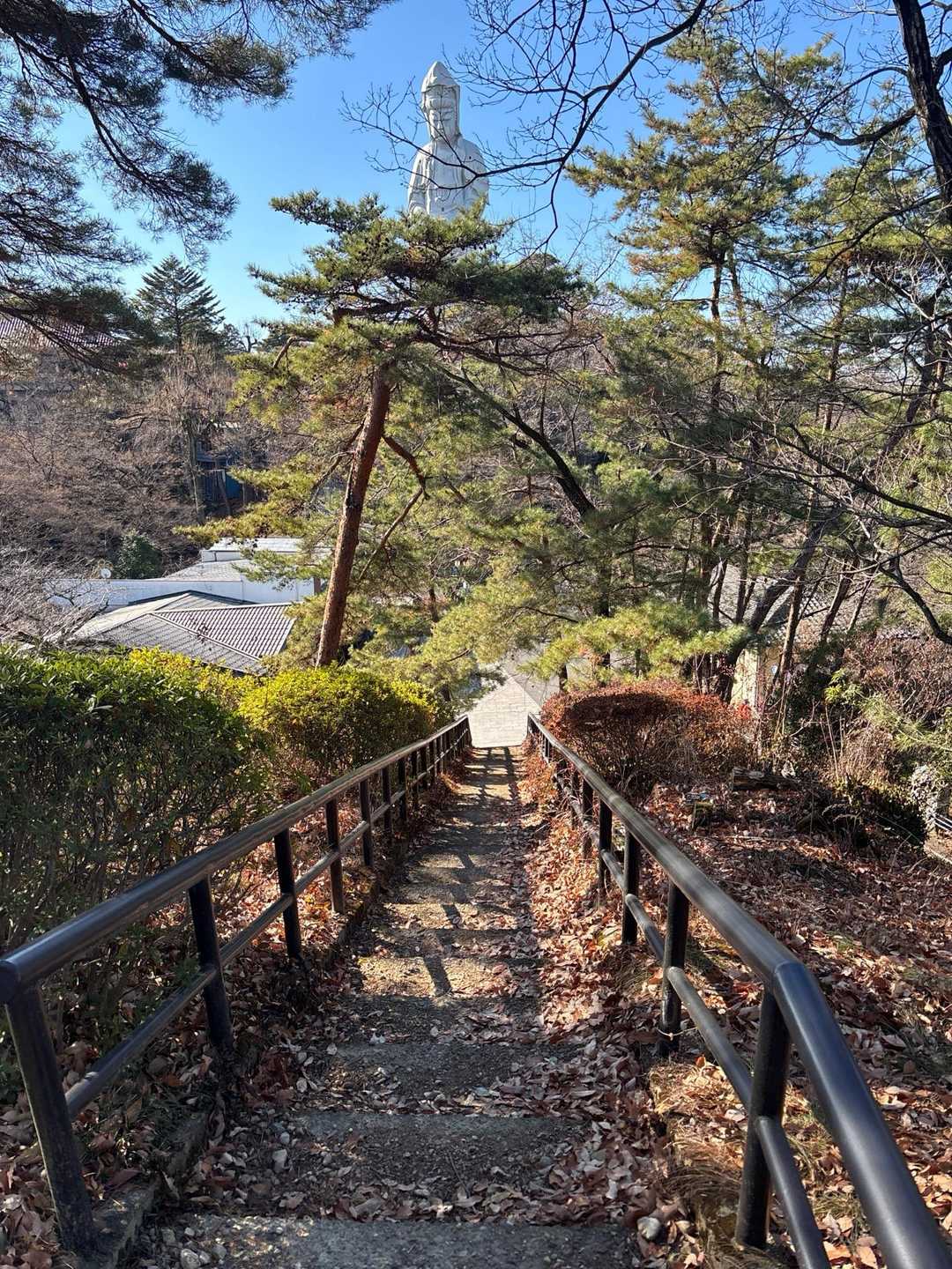 慈眼院-観音山 往復コースの写真