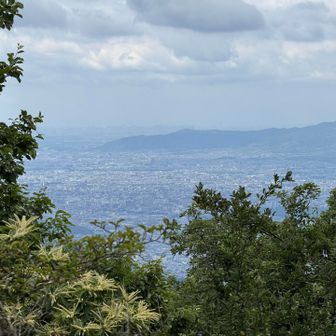 横高山ピークの西先から👀
