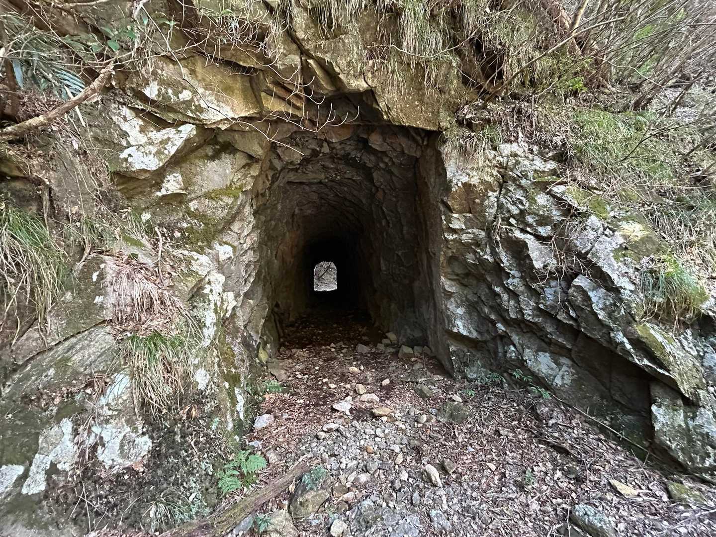 ん？トンネルだ