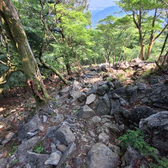 また　岩ごつごつ道
急降　慎重に降りないとっ！