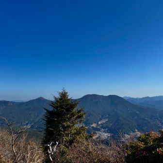 次回はあそこにでも行こうか。