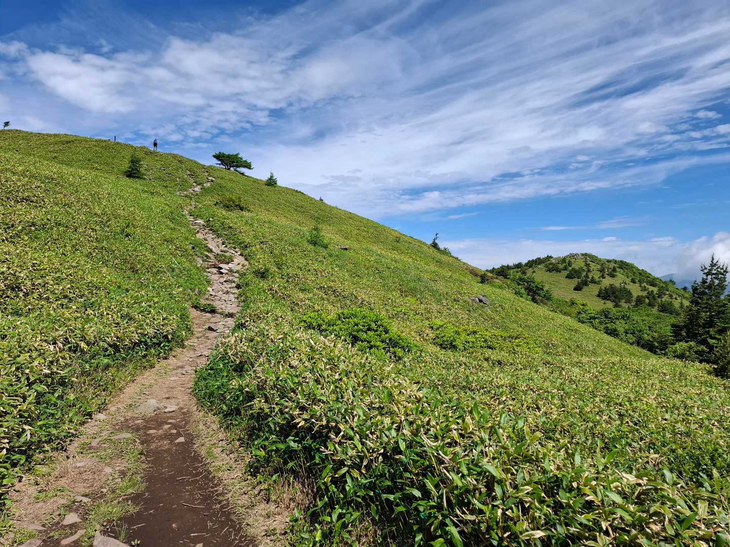 頂上が見えてきた。右が北峰。