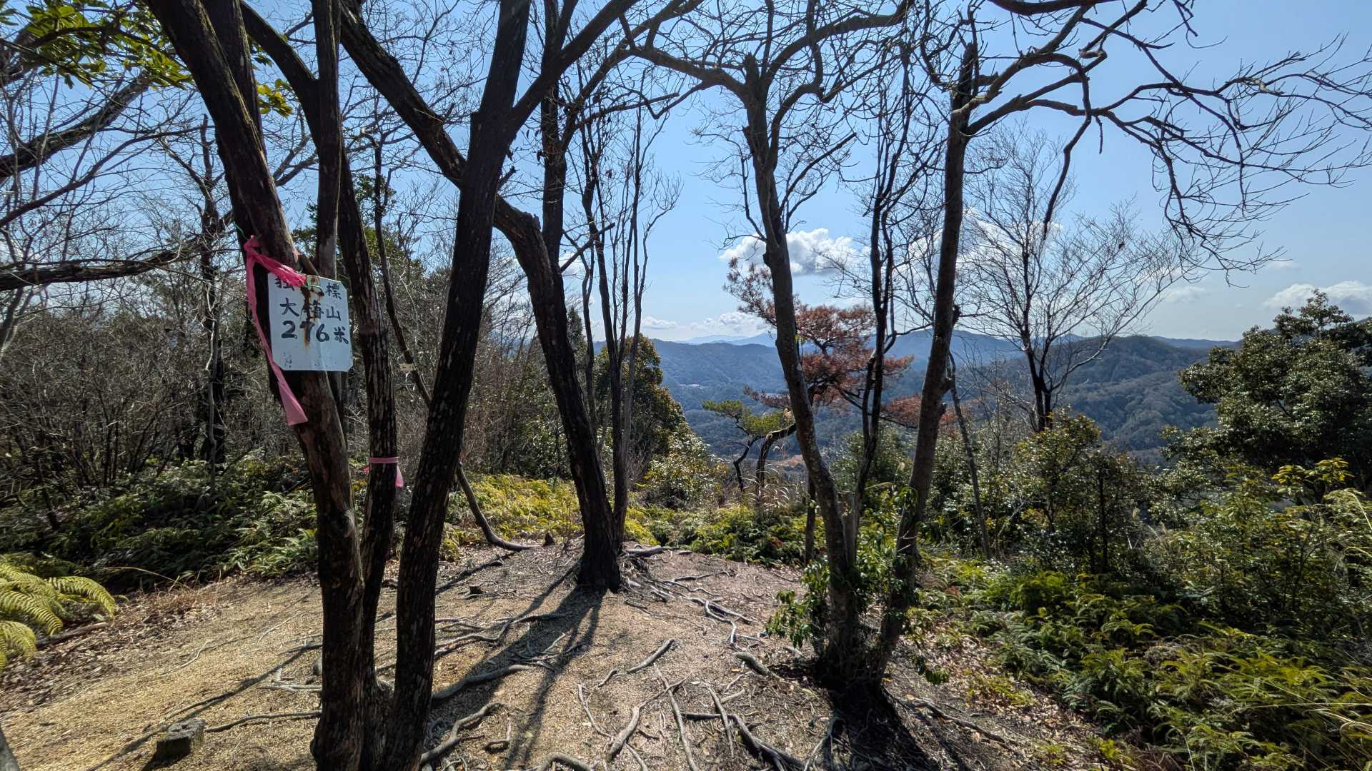 大梅山山頂