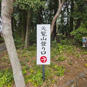 観音寺境内を抜けた、登山口から出発しました。