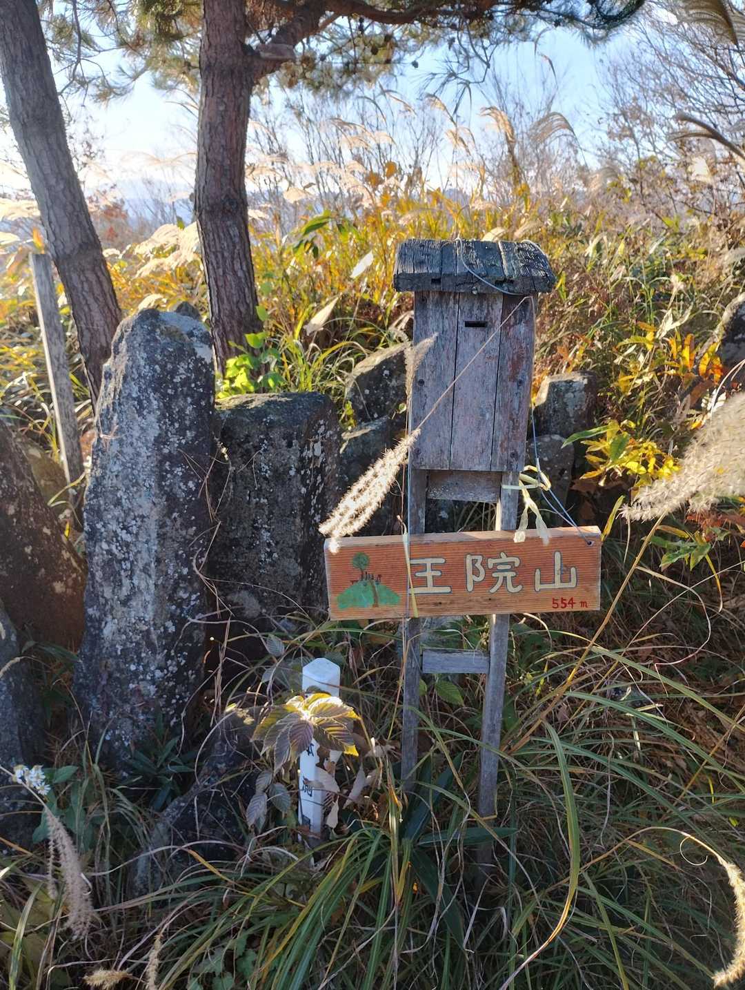 王院山登山口-東屋-王院山 往復コースの写真