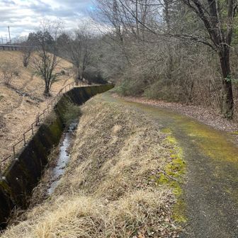 横を通って大日山に向かいます
