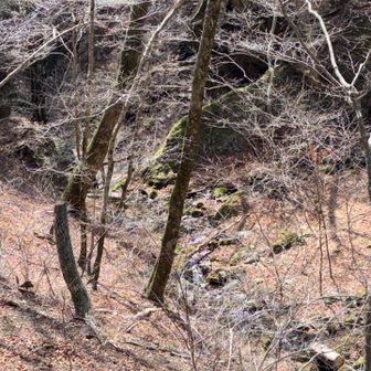 御岳山に向かう途中にあるロックガーデンの入口。遠目には水量少なく見えたけど、気のせいかな。