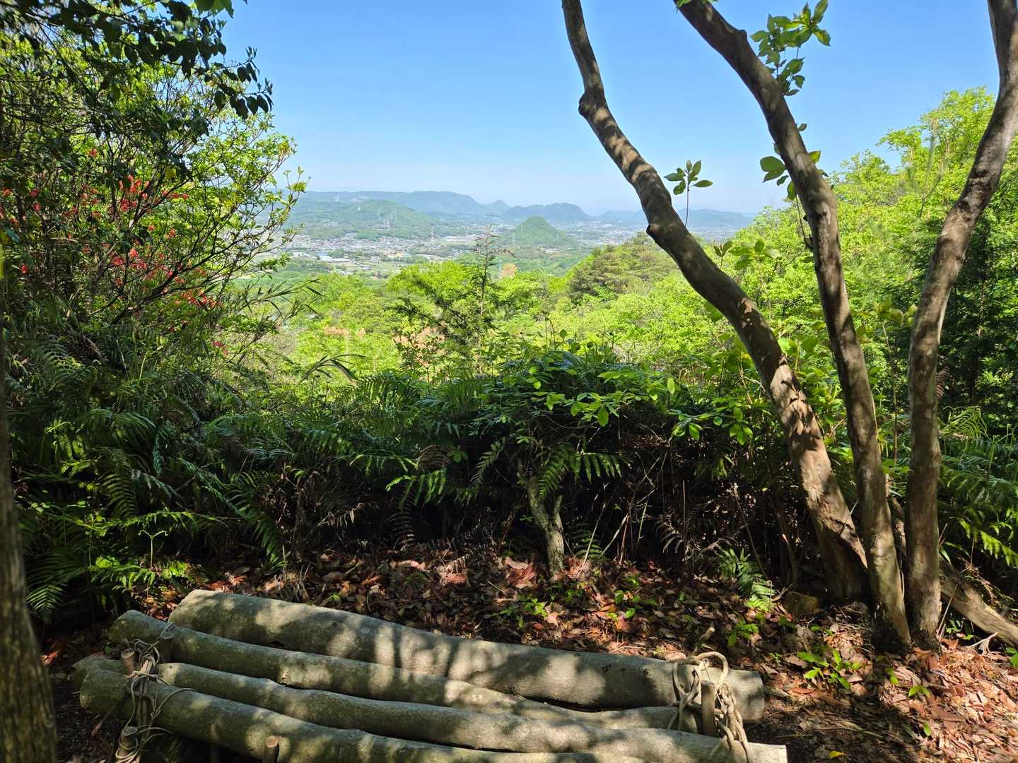 城山-こねこ山 周回コースの写真