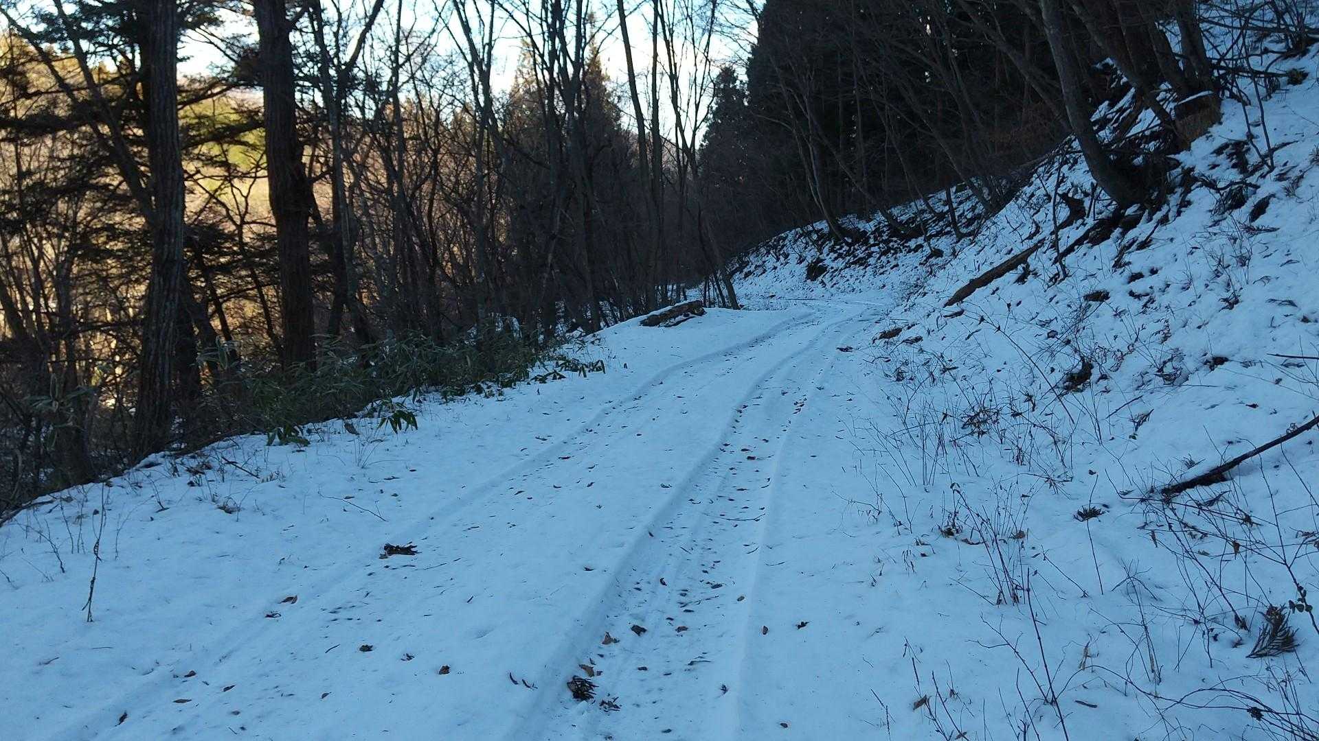 こちらの林道は日陰なのでずっと雪道です