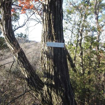 ほしだ園地の外周路（園路ではありませんの道）にある「菖蒲ヶ滝山(しょうぶがたきやま)」。
