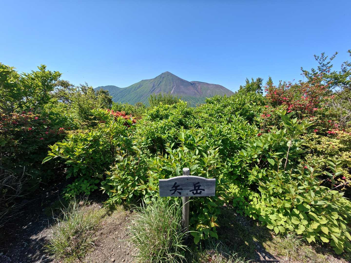 矢岳山頂標識と高千穂峰🤩✨