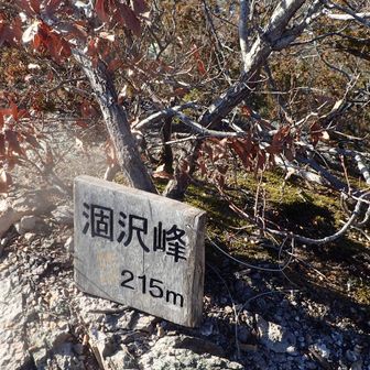 涸沢峰がありました