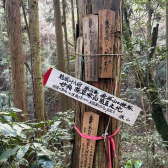 葛城修験第五番遥拝所
第五番に行くつもりでしたがどう見ても危険なのでやめときました
