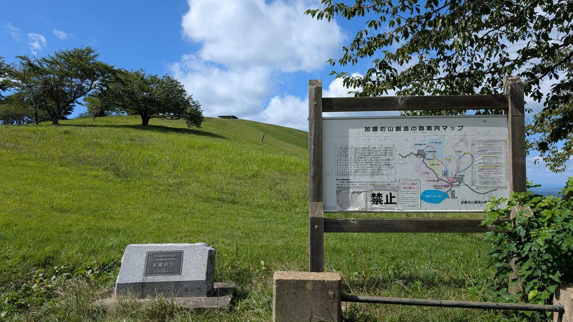 ほうほう😲
花見盛り上がる公園なのかな🌸