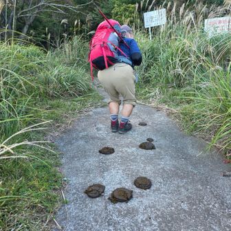 やまさんの💩⁉️　身体に見合うのかな😆