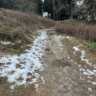 ちょっとだけ氷