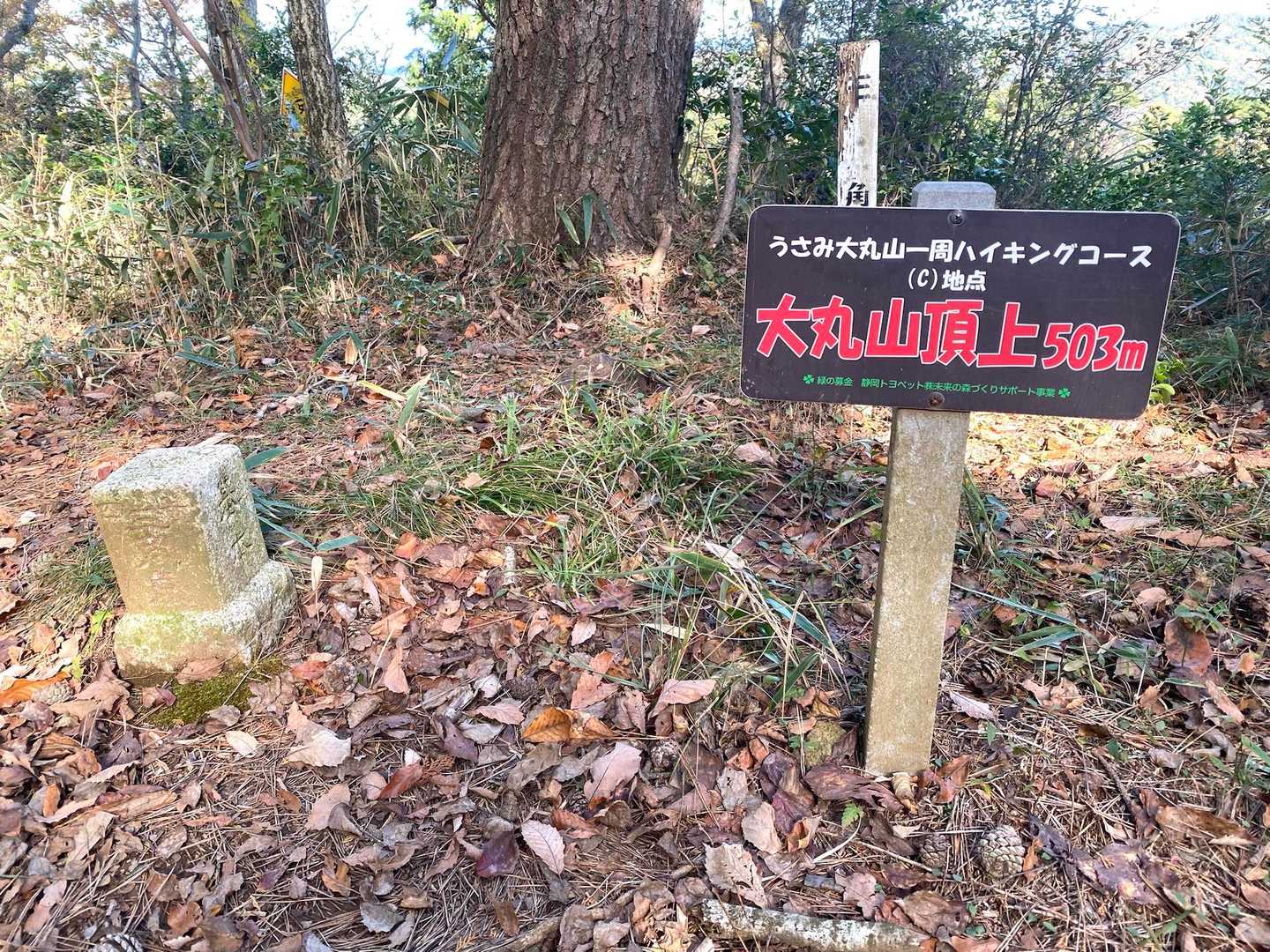 大丸山（503m）🙌