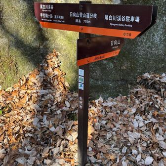 甲斐駒ヶ岳いつか絶対登る