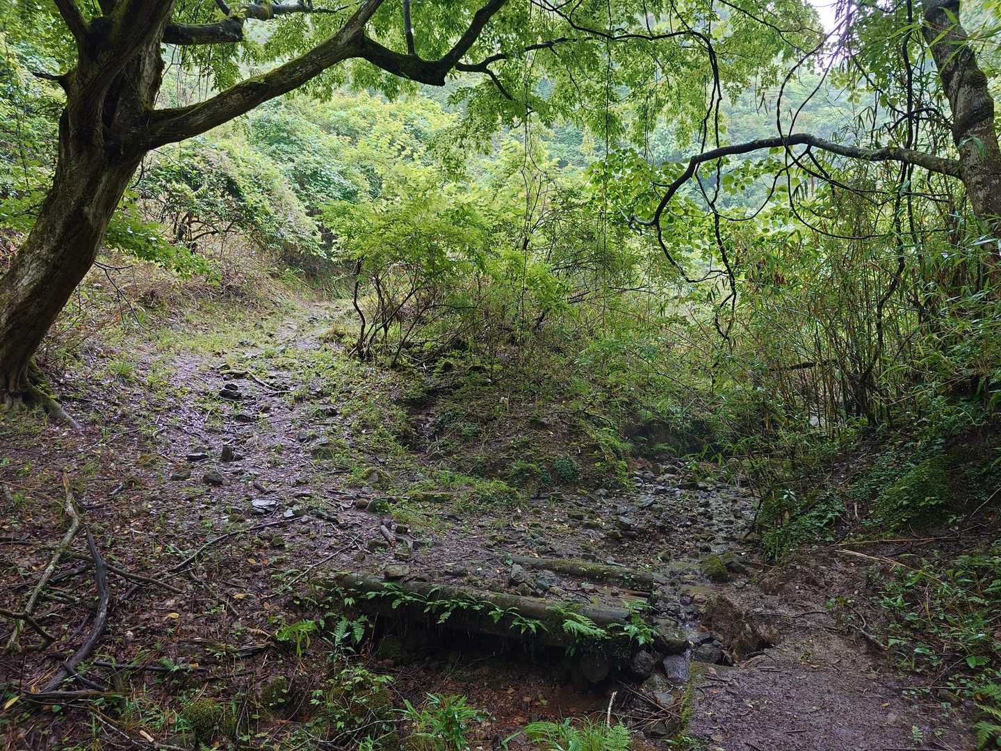 橋欠落