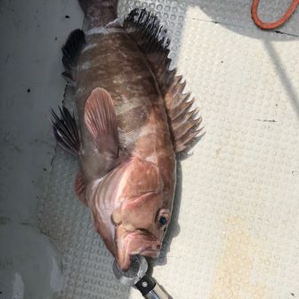 ウォーキングの延長