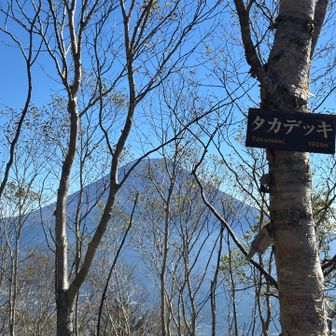 高デッキ山頂です。