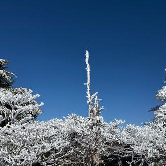 樹氷と青空が美しい
