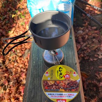 メシ食う。ビーフシチューかと思ったが、欧風カレーだった。。