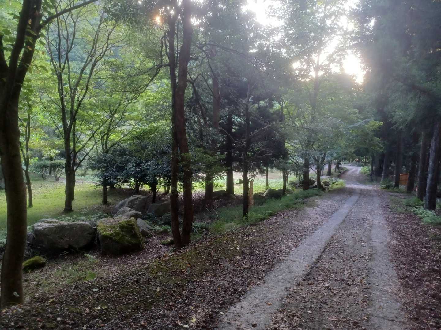 駐車場🅿️一番乗り❗