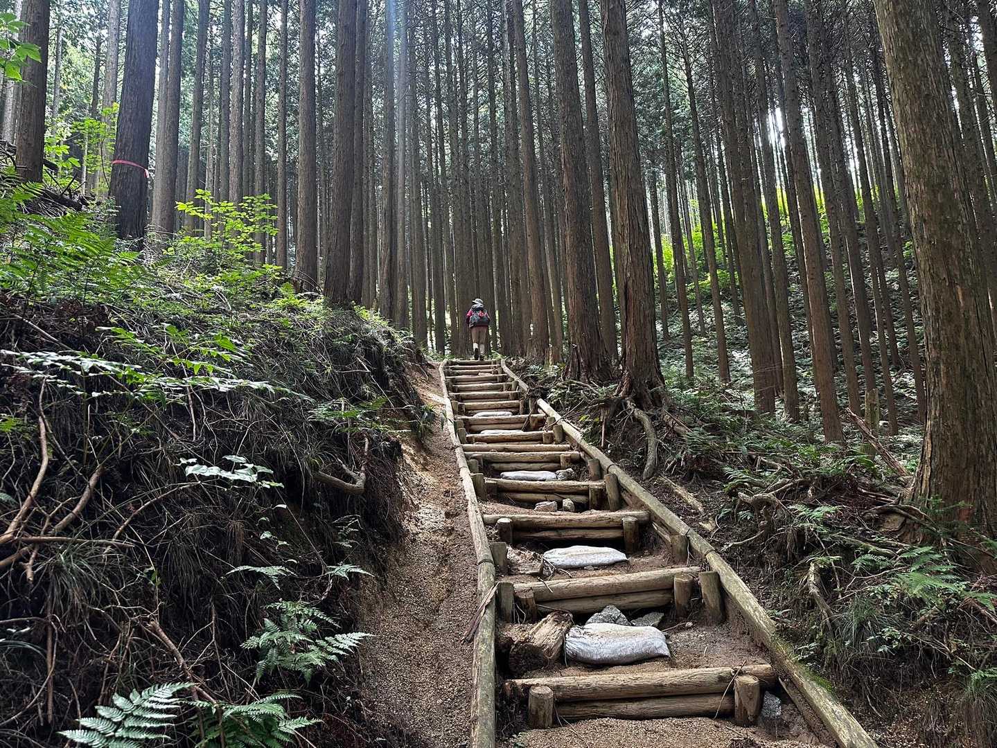 金剛山-金剛山山頂売店-金剛山葛木神社-水越峠バス停 縦走コースの写真