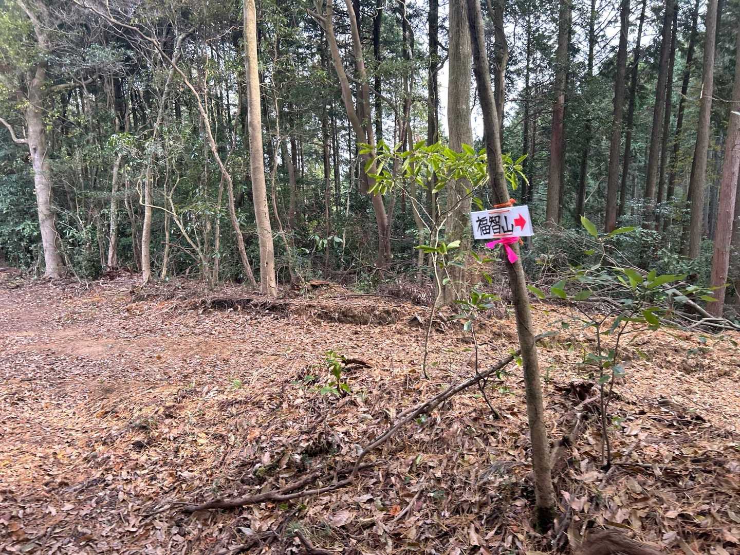 尺岳 周回コースの写真