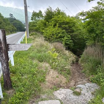 本当は地蔵岳へ縦走予定だったけど、お天気回復せずなので、このまま帰ります
