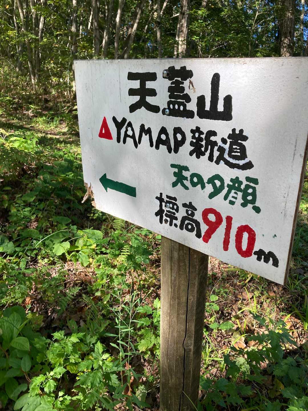YAMAP新道の登り口
張り切ってスタート