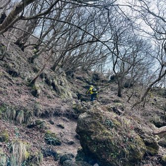 思ってたより急だな💦