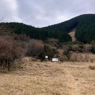 林道への分岐（左側⬅️へ🏃）… 戻りは　正面から　降りてくる😃