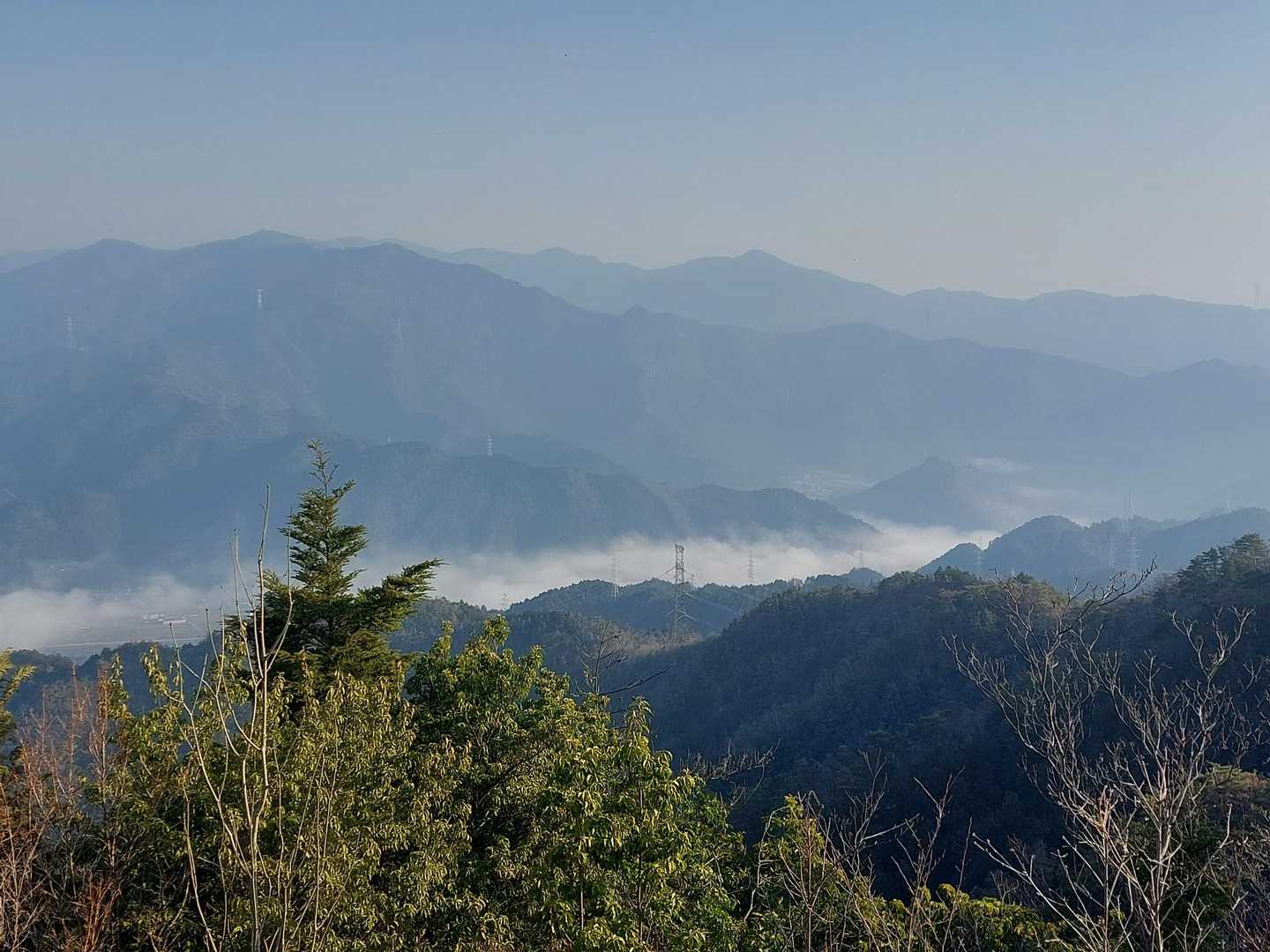 北側は朝靄😅