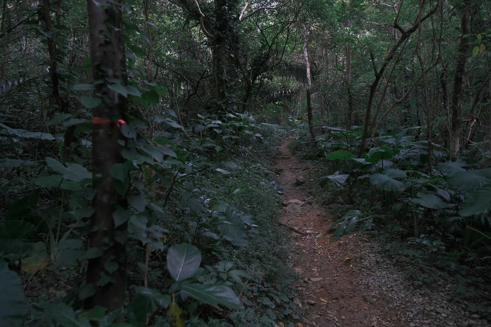 山頂は岩の楽園と絶景！嘉津宇岳の写真