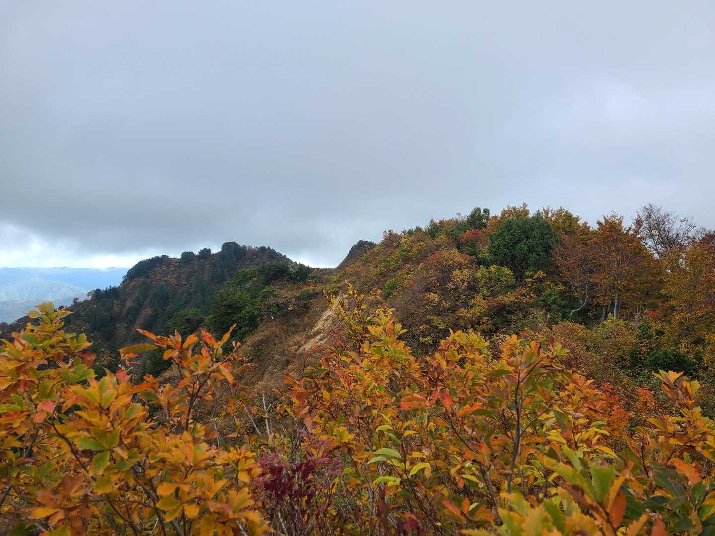 🍁前笈ヶ岳
